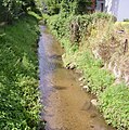 Perlbach / Stadtbach: Fließt durch Wörth an der Donau