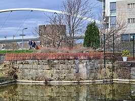 Restant van de Recentoren, opgenomen in een waterpartij in het Charles Eyckpark. Op de achtergrond de Maaspunttoren en de Hoge Brug (2024)