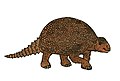 Glyptodon