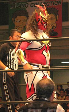 An adult male wrestler wearing a full-body costume that is red, white, and yellow. A mask covers his face, with long brown hair hanging from the back.