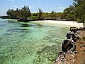 Pantai Liang Kareta di Pulau Pasi