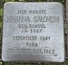 Stolperstein Drensteinfurt Hammer Straße Johanna Salomon