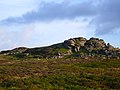 Dartmoor, Devon.