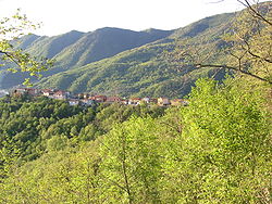 Skyline of Testico