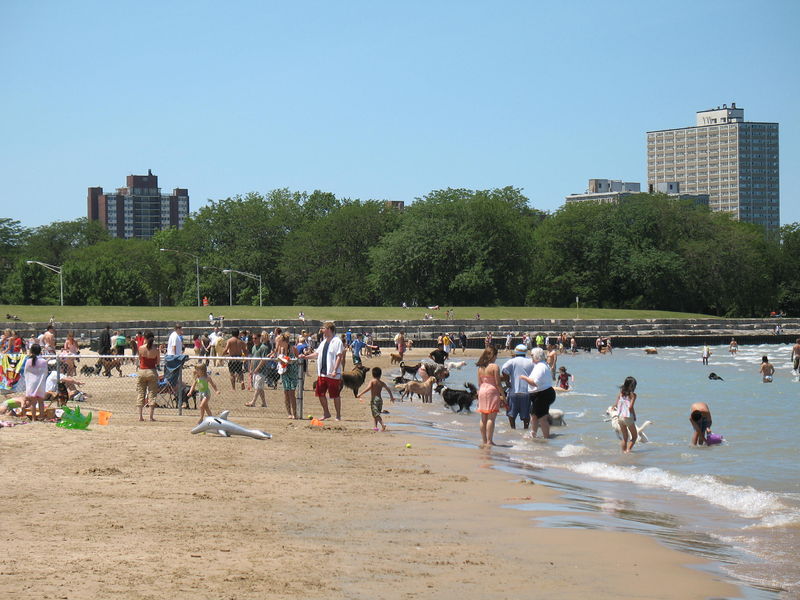 File:20070630 Montrose Avenue Dog Beach.JPG