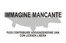 Immagine di Alìce mancante