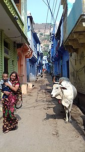 Scène de rue à Bundi.