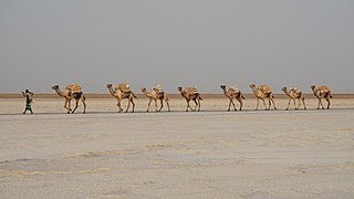 ET Afar asv2018-01 img06 Lake Karum area