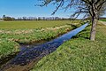 Mündung des Schwosdorfer Wassers bei Schiedel (von links in die Schwarze Elster)