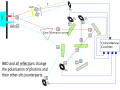 Kim with polarizations indicated