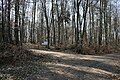 Limeswall und Hügel des Kastells, Strecke 4, Taunus- und Wetteraulinie, Hessen.