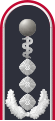 Dienstgradabzeichen eines Oberstarztes i. G. (Approbation für Humanmedizin) auf der Schulterklappe der Jacke des Dienstanzuges für Luftwaffenuniformträger