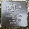 Stolperstein Drensteinfurt Südwall 5 Fanny Irma Salomon