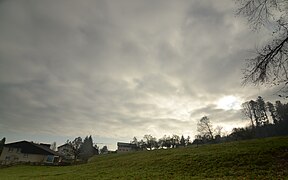 Stratocumulus translucidus