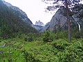 Tre Cime (16).jpg5 120 × 3 840; 5 MB