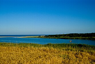 Riserva naturale orientata Foce del fiume Platani