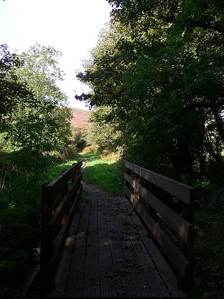 File:Steam Heritage Trail on the Isle of Man (73) - geograph.org.uk - 2115059.jpg