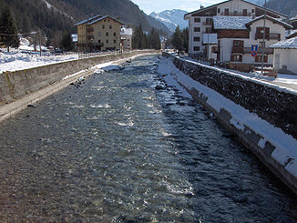 D Lys z Gressoney-Saint-Jean