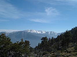 San Gorgonio