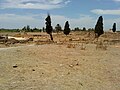 Vista del fòrum romà i la basílica