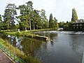 L'Oust et le Canal de Nantes à Brest au niveau de leur jonction juste en aval de l'île Notre-Dame.