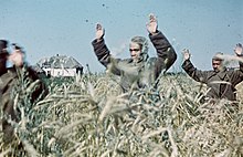 Two soldiers, arms raised, walking through tall grass