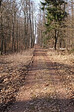 Apfelallee, Verbindung zur Karlslust