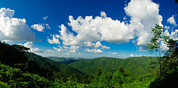 Khao Yai nationalpark är en av två nationalparker som ligger i provinsen.