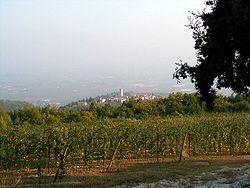 Vinice v údolí Valpolicella