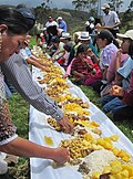 Pampa mesa in Parcoloma, Ecuador