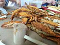 Image 18Marylanders steam blue crabs, usually in water, beer and Old Bay Seasoning. (from Culture of Baltimore)