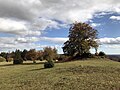 Herbstliche Heidelandschaft auf der Bergkuppe