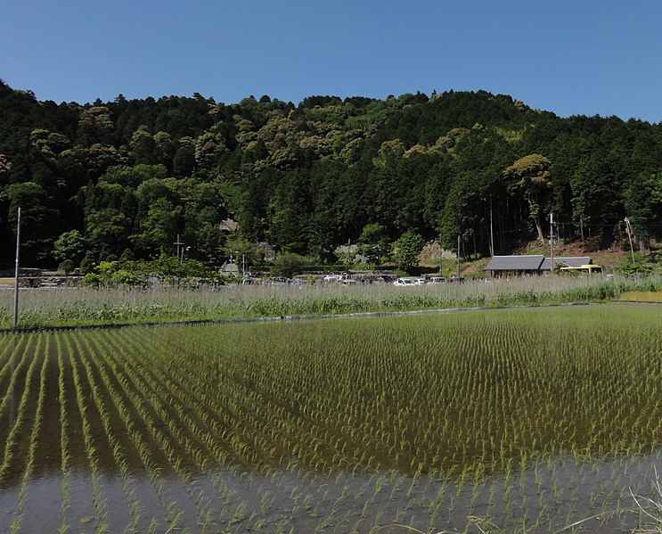 File:安土城前 - panoramio.jpg