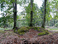 Nördlicher Holzturm (Zustand Oktober 2009)