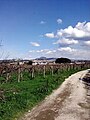 Panorama di Albano e dei colli Albani