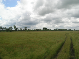 Nationaal Park Bontioli