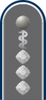 Dienstgradabzeichen auf der Schulterklappe der Jacke des Dienstanzuges für Heeresuniformträger der Sanitätstruppe (Humanmedizin).