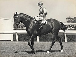 High Caste, 1939, 1940 & 1941 winner