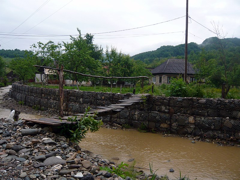 File:Valea Vinului Maramures 01 2009.JPG