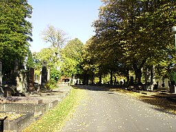 Östra kyrkogården i oktober månad 2009.