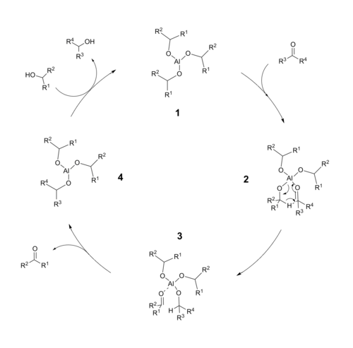 Meerwein–Ponndorf–Verley reduction catalytic cycle