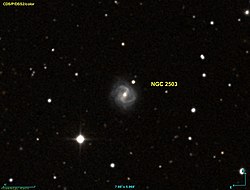 NGC 2503