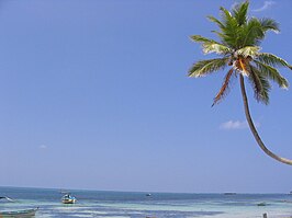 Strand bij Kavaratti