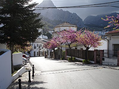 Español: Grazalema.