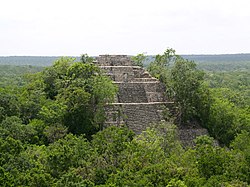 Antica città Maya di Calakmul avviluppata dalle foreste tropicali