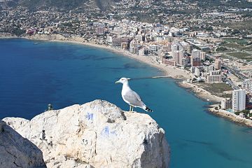 Vista de Calpe desde la cima del Peñón de Ifac