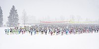 Startfeld König Ludwig Lauf