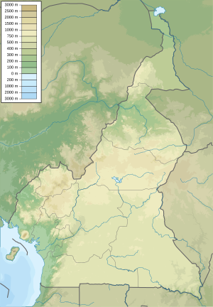 MountVic127 is located in Cameroon