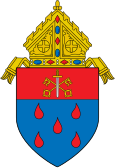 Diocese of Calbayog