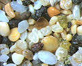 Sabbia Kalalau Beach, Hawaii (larghezza del campo = 5,5 mm). È presente qualche grano di olivina, tipica di sabbie vulcaniche.